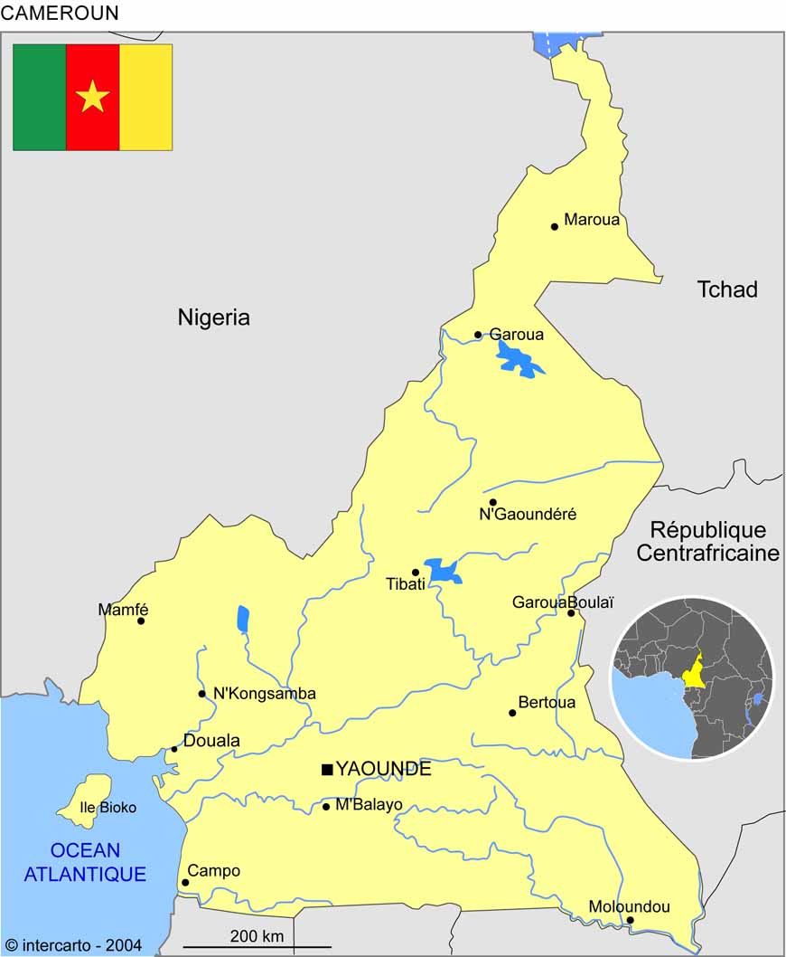 carte satellite Cameroun