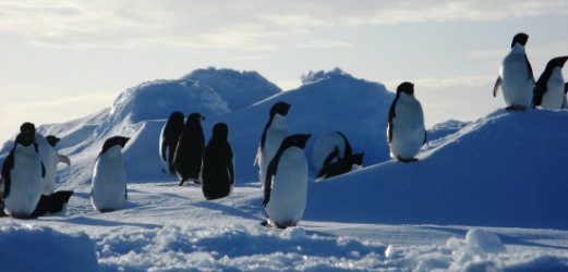 Photo de l'Antarctique